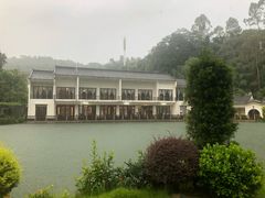 -谷丰健康凤贤居酒家
