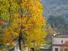 -塔川景区