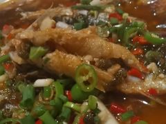 -飞虹鱼馆(春华路店)