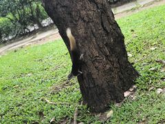 -The Dishes Seafood & Restaurant