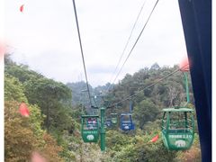 -野象谷景区