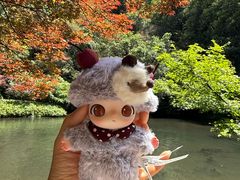 -西湖风景区十里琅珰-五云山
