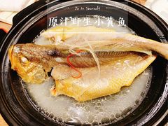 原汁野生小黄鱼-香园茶社·金陵小灶(老门东店)