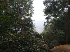 -火炉山森林公园