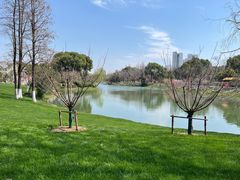 -圩墩遗址公园