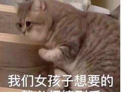 -较场口火锅(九街店)