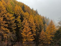 -管涔山
