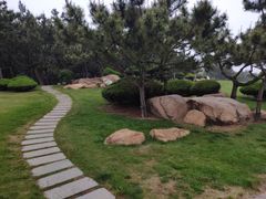 -日照灯塔风景区