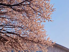 -吉林大学(前卫南区)
