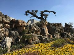 -南通洲际绿博园