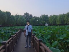 -潇湘甲鱼村(清河店)