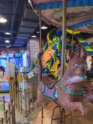 -卡通尼·Safari非洲探索乐园·生日会(金桥国际商业广场店)