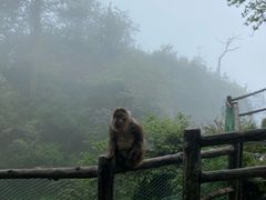 -峨眉山风景名胜区