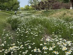 -汉长安城未央宫国家考古遗址公园