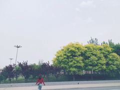 -武清南湖绿博园