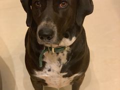 -玩具反斗城(海港城店)