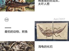 -中华赏石园