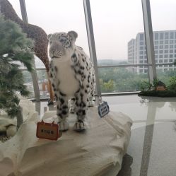 -IMON·HANSA潮玩玩偶毛绒玩具(通州万象汇店)