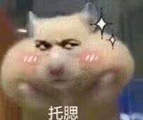 -合肥融创水世界