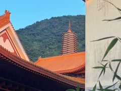 -深圳仙湖植物园