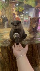 -Zoolung Zoolung动物主题公园(海信广场店)