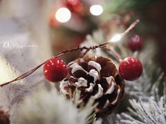 -卷心卷意·轻甜蛋糕(新光天地店)