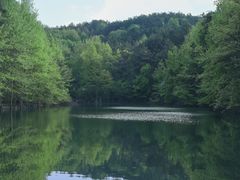 -青龙山国家森林公园