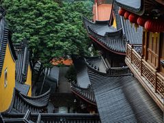 -杭州植物园