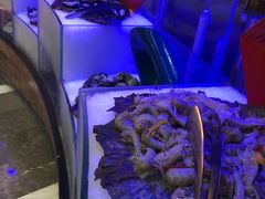 -小天鹅戴斯酒店鲸鲨百汇创作料理