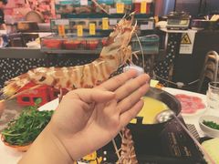 花竹虾-鲜入围煮花胶鸡海鲜火锅