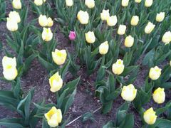 -长春公园(普阳街道)