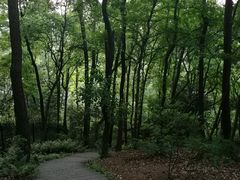 -九曜山