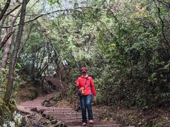 -武夷山风景名胜区-虎啸岩
