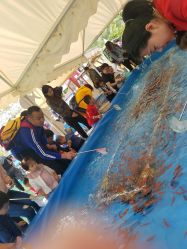 -萌宠亲子动物乐园(槐房万达店)