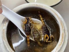 蝎子党参乌鸡汤-国英炖品店(甲子路店)