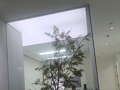 -极简口腔(总院)