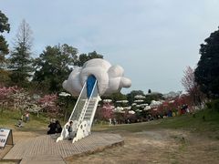 -南山植物园