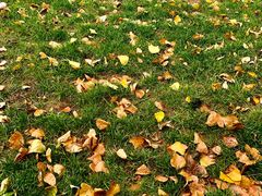 -颐润堂专业养生(五道口华清商务会馆店)