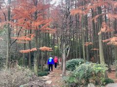 -宝界山林公园
