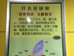 -上海昆虫博物馆