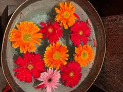 -花马天堂云南餐厅 Lost Heaven(外滩店)