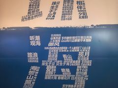 -野狸岛
