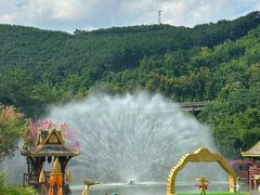 -西双版纳原始森林公园