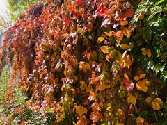 -森林公园(尖草坪区)