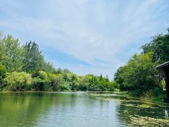 -溱湖国家湿地公园