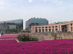 -泉城广场