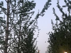 -西海子公园