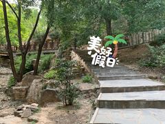 -北京西山国家森林公园