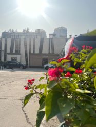 -小颜秘家·韩国整骨