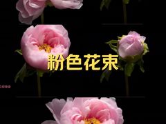 -回龙观体育文化公园